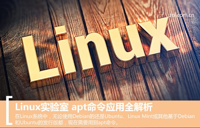 Linux实验室 apt命令应用全解析
